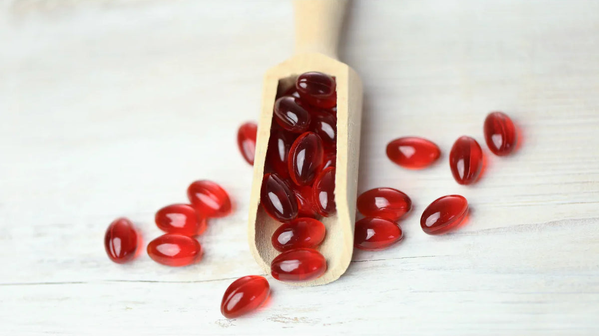 Krill Yağı Sağlık Faydaları, Kullanımı ve Dikkat Edilmesi Gerekenler