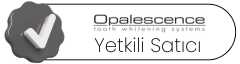 Yetkili Satıcı