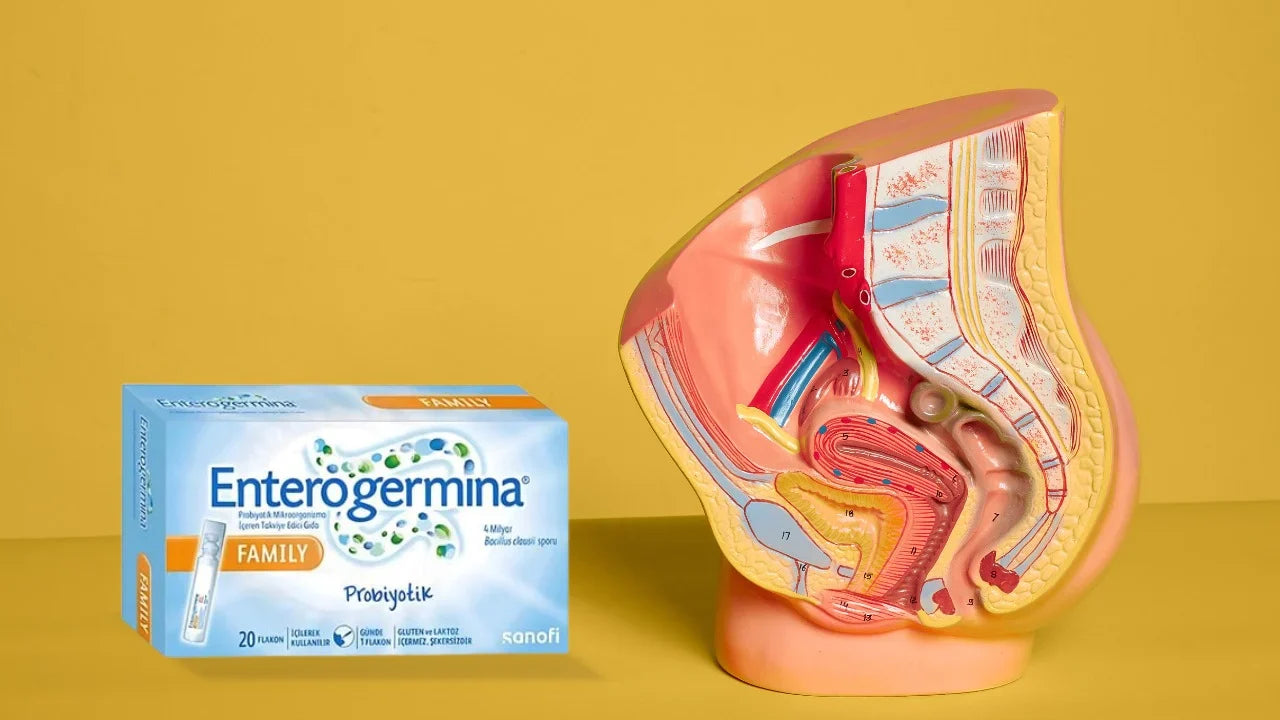 Enterogermina Family ile Bağırsak Sağlığınızı Güçlendirin