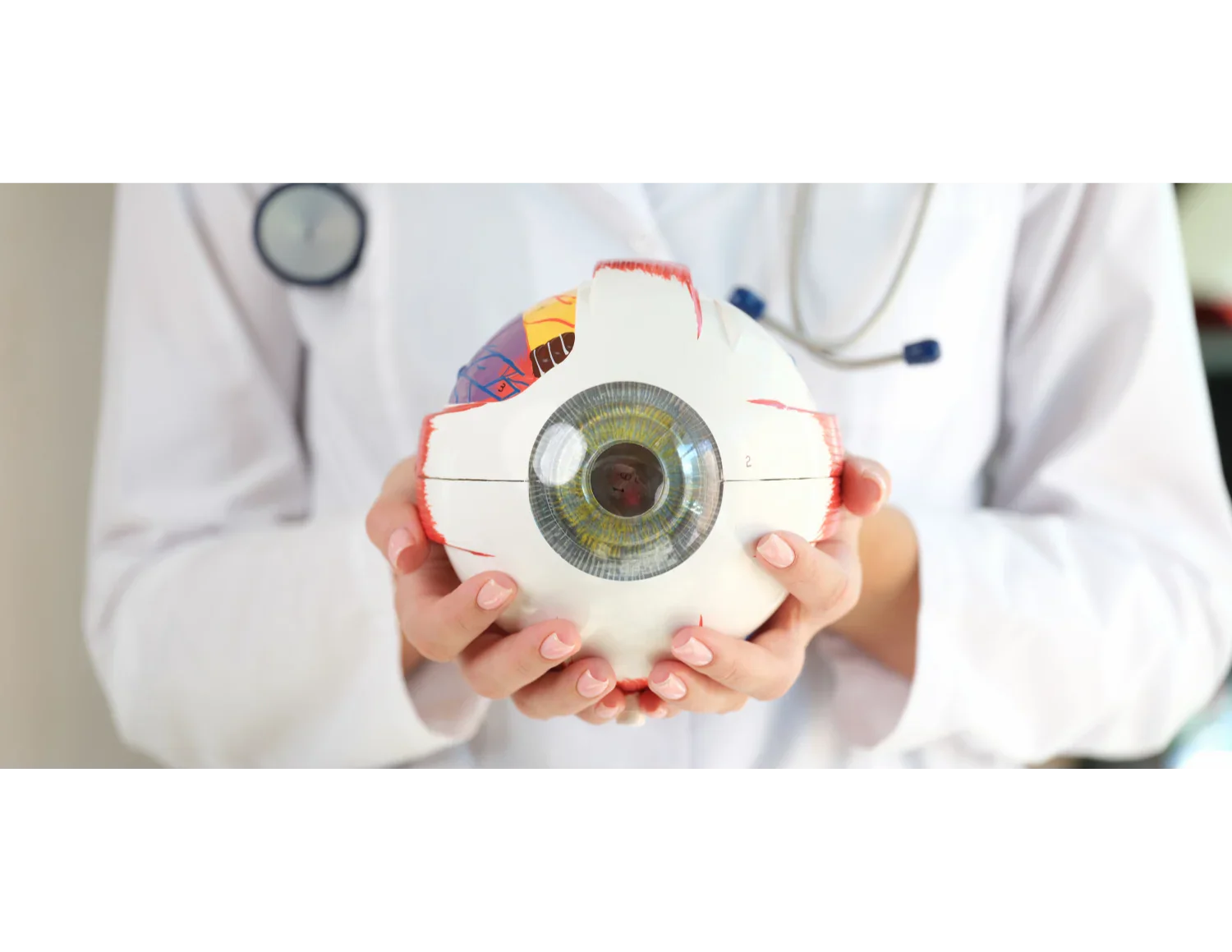 Göz Sağlığı ve Beslenme: Ocuvite Complete ile İyi Görmenin Sırları