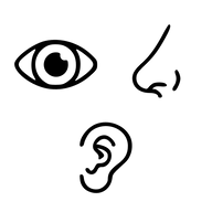 Göz, Burun & Kulak Sağlığı