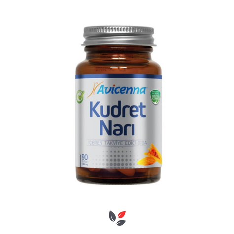 Avicenna Kudret Narı 1300 mg 90 Softjel