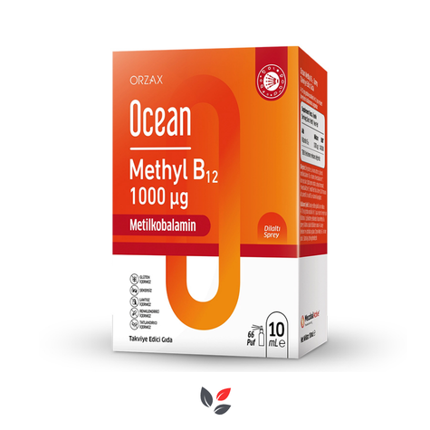 Ocean Methyl B12 Sprey 1000 mg 10 ml