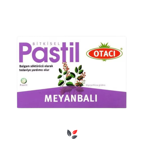 Otacı Meyanbalı 16'lı Pastil