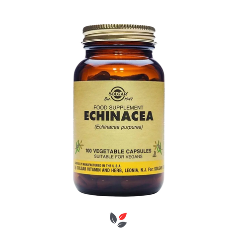 Solgar Echinacea 520 mg 100 Kapsül