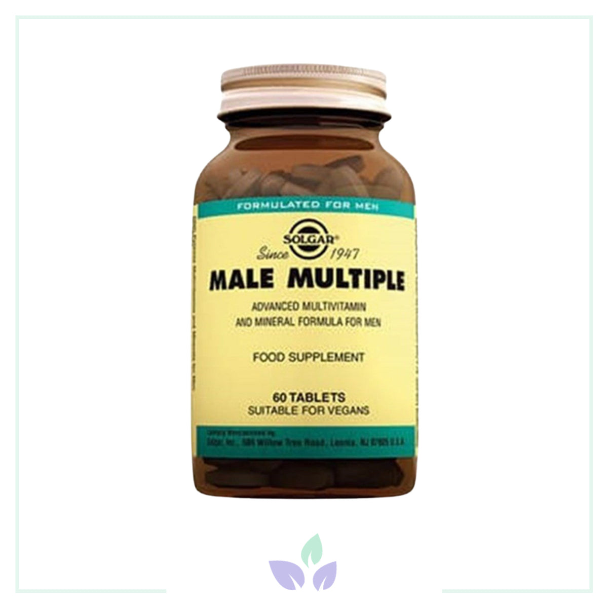 Solgar Male Multiple 60 Tablet