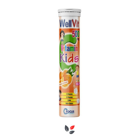 Wellvit Vitamin Kids 500 mg 15 Efervesan Tablet